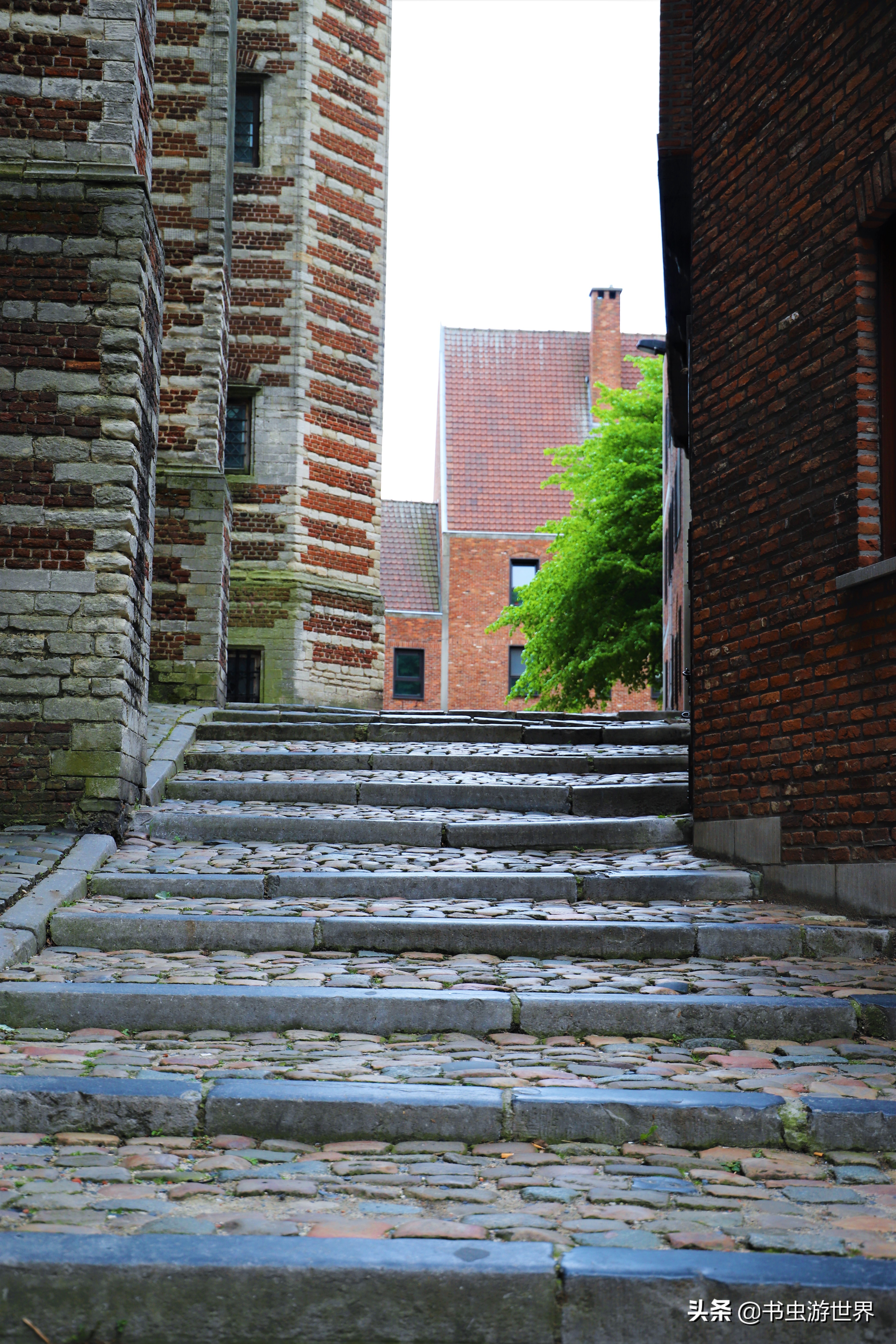 安特卫普景区有哪些,安特卫普地理位置图