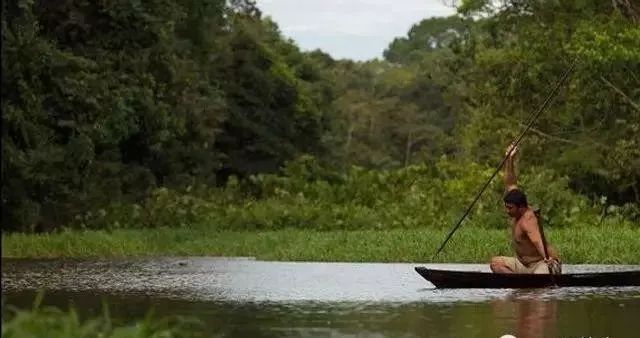 世界顶级淡水鱼大全,世界上顶级鱼类大全