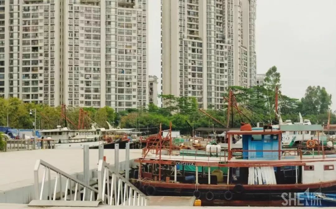 现在的蛇口,南头蛇口