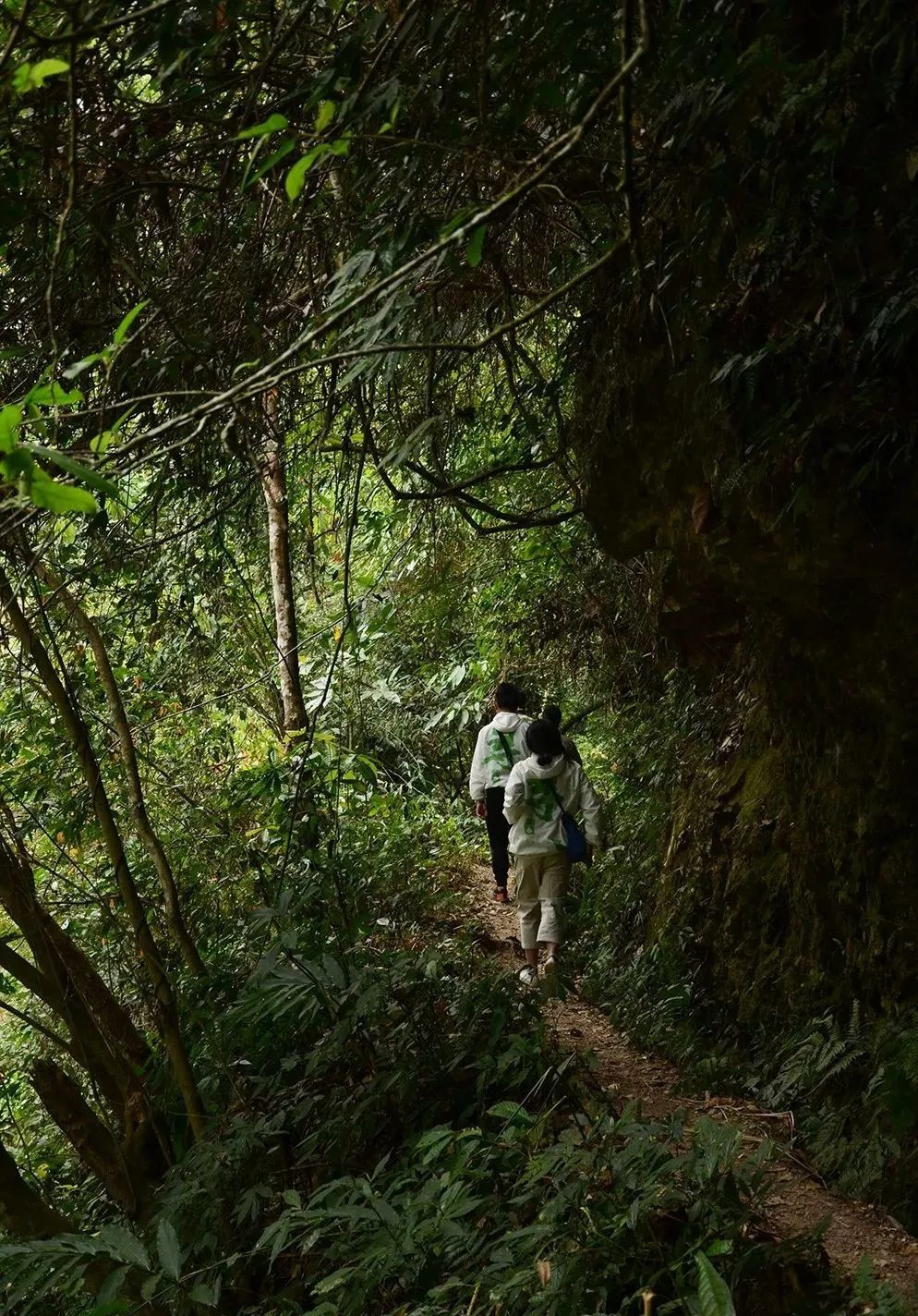 新生代黑马之百花潭！汤香蕴郁百花香，世外桃源的茶，一喝就沉醉