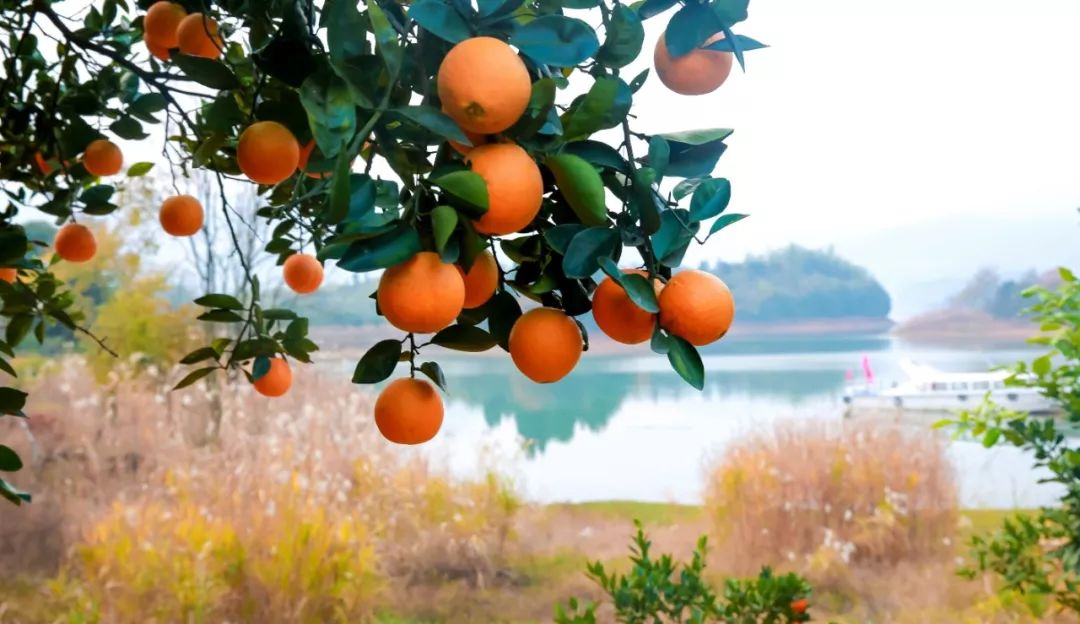 赤壁和赤壁,三国的赤壁
