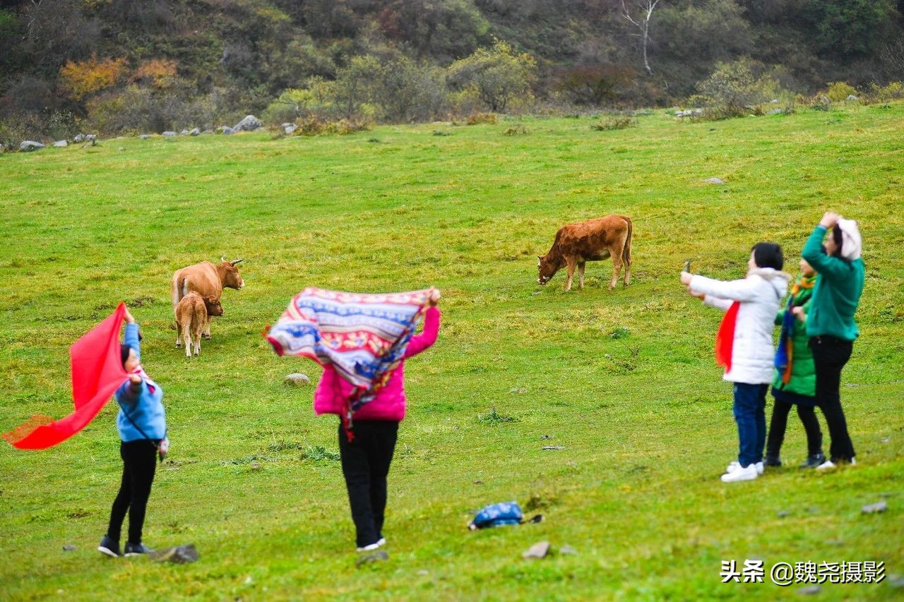 留坝秦岭之夜,留坝秦岭森林公园