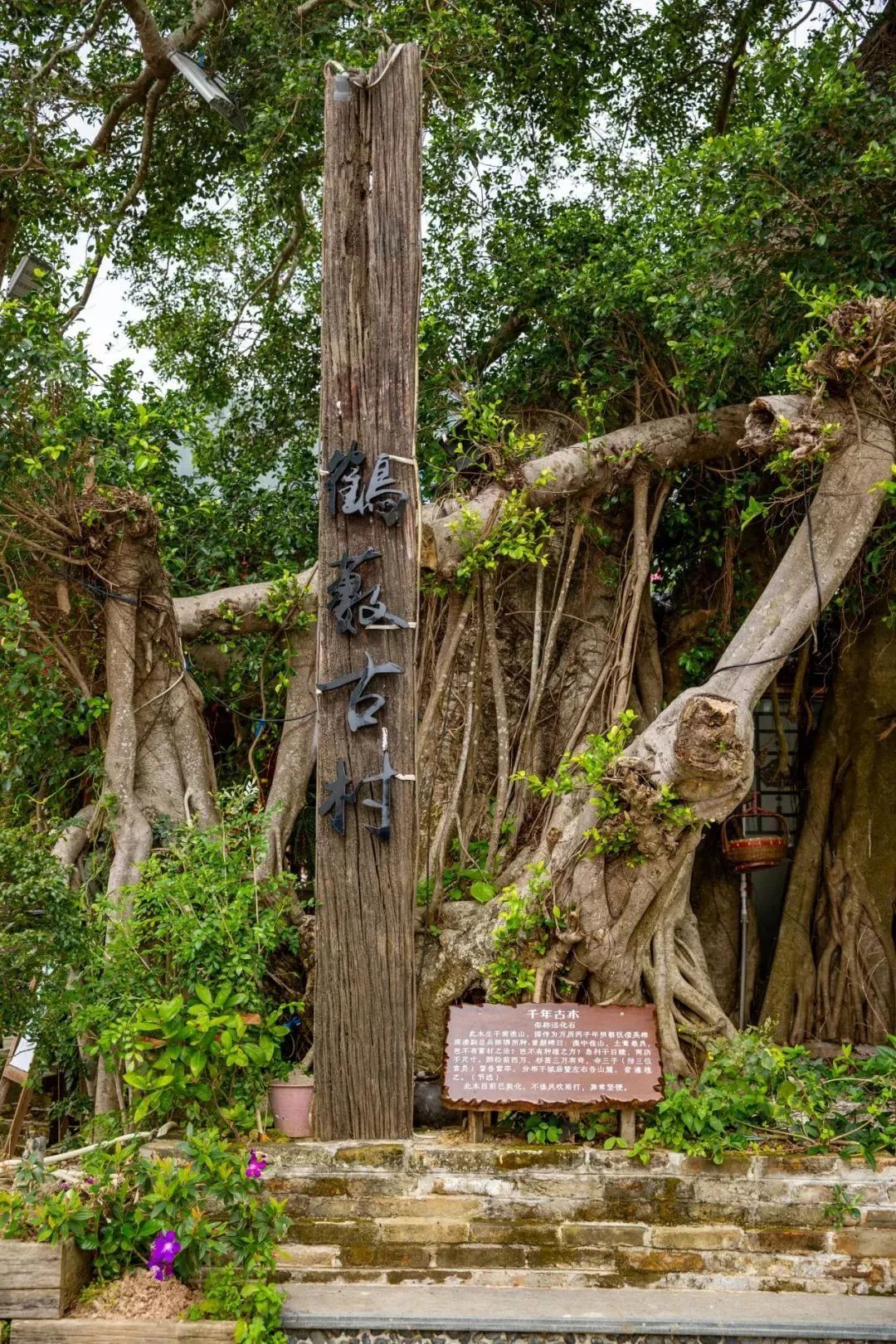 深圳西涌民宿海景房,深圳西涌民宿设计