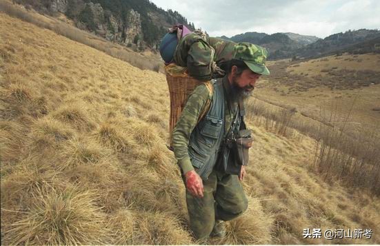 寻找野人的张金星现在如何,张金星神农架野人