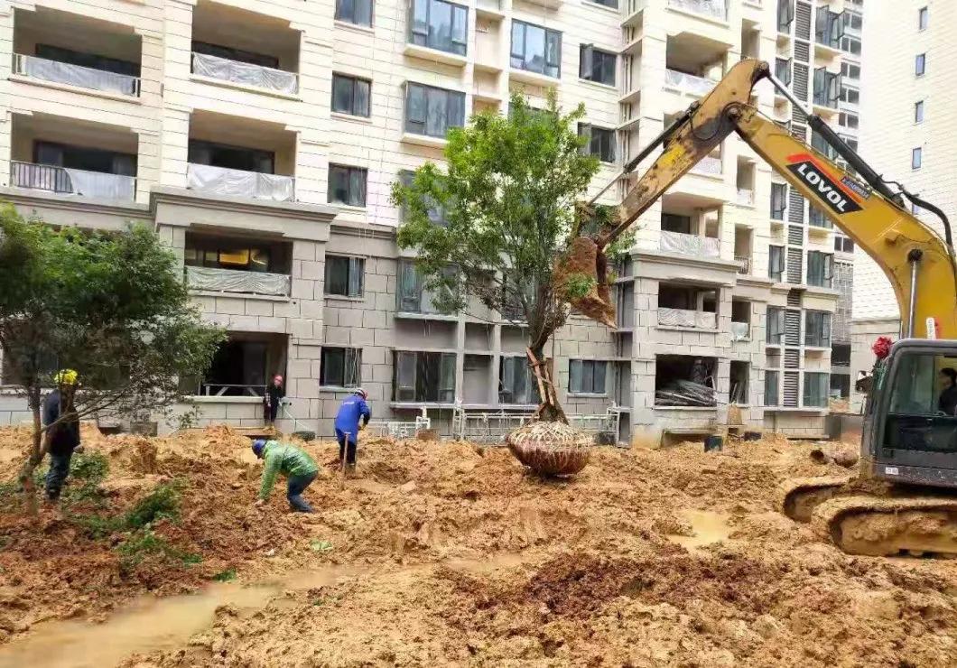 “五一”假期重点项目建设不停歇!南昌高新区以实干致敬劳动节