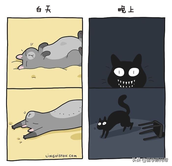 猫主子的日常暹罗猫铲屎官的乐趣,猫吸猫主子的日常