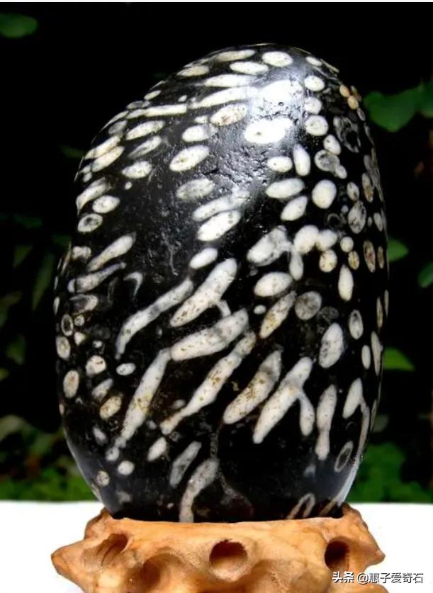 甘肃最稀有的奇石,甘肃奇石市场价格