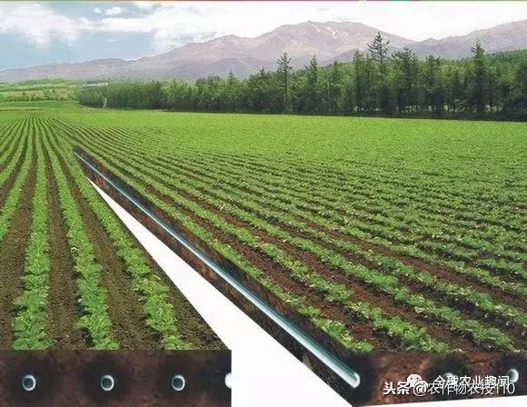 以色列用什么水和什么水灌溉农田,以色列进口水肥一体化灌溉设备