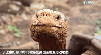 如何把放屁说的优雅,怎么样才能放一个安静的屁