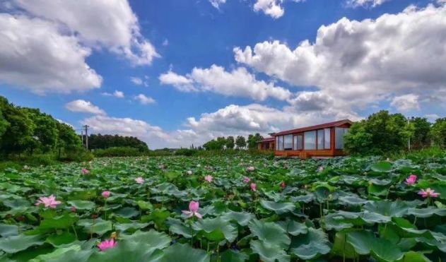江苏无锡最美乡村前十名,无锡全国农业旅游示范点有哪些