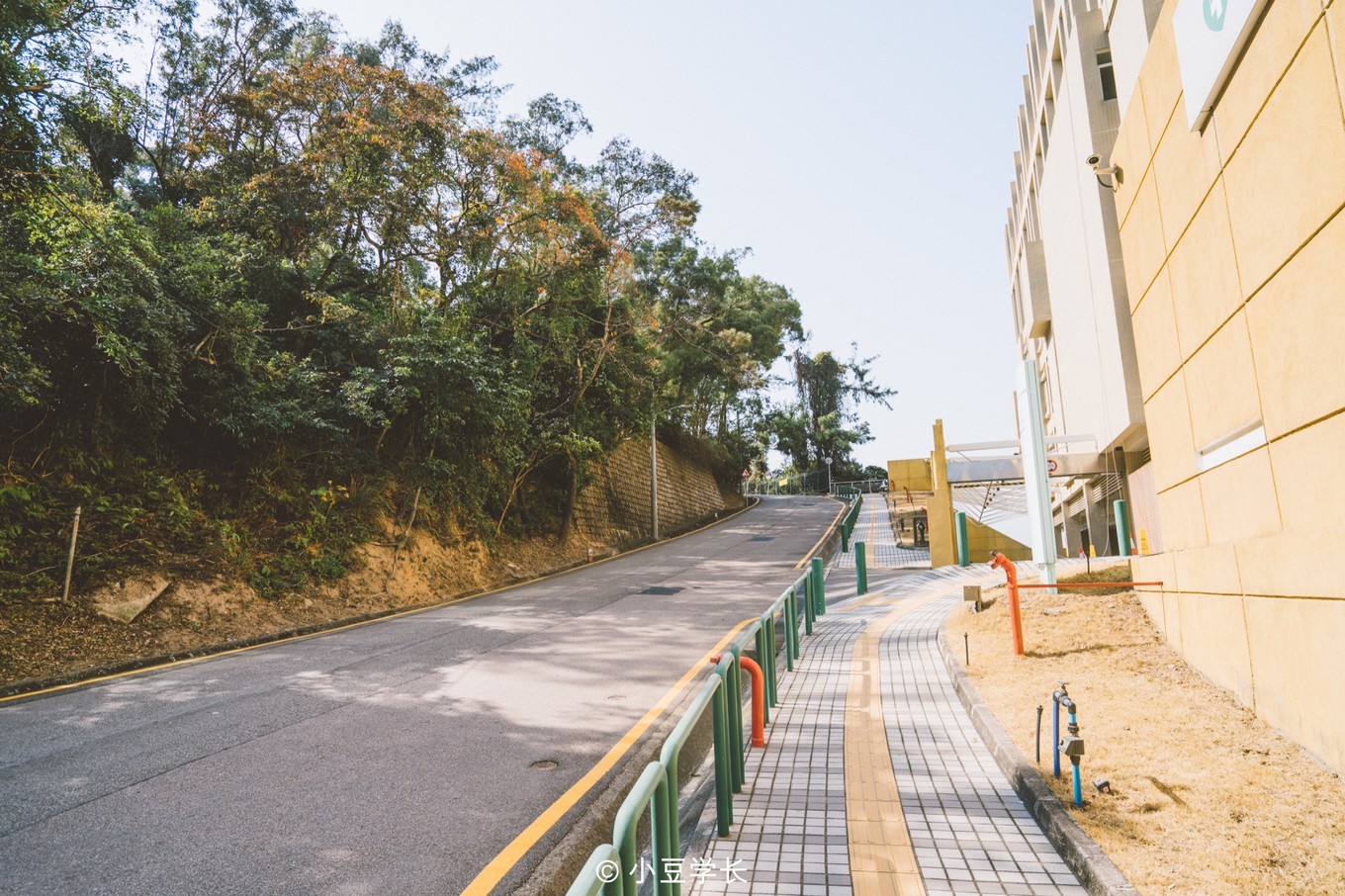 澳门旅游攻略免费吃喝,去澳门哪里有免费吃喝