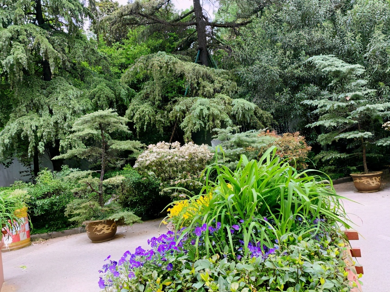 国立中央大学江苏大学,国立中央大学有哪些著名教授