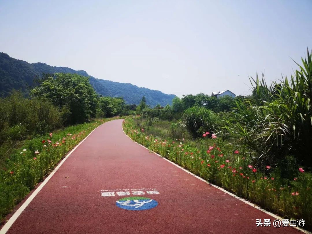 疫情后旅行新玩法,“州”游之衢州四天三夜