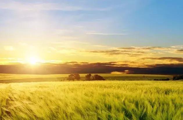 轻音乐最好听的十首完整版,世界上最好听的轻音乐