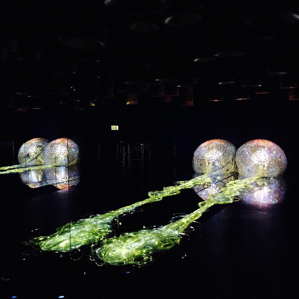 施华洛世奇花漾魔力寓意 (施华洛世奇的花样魔力)