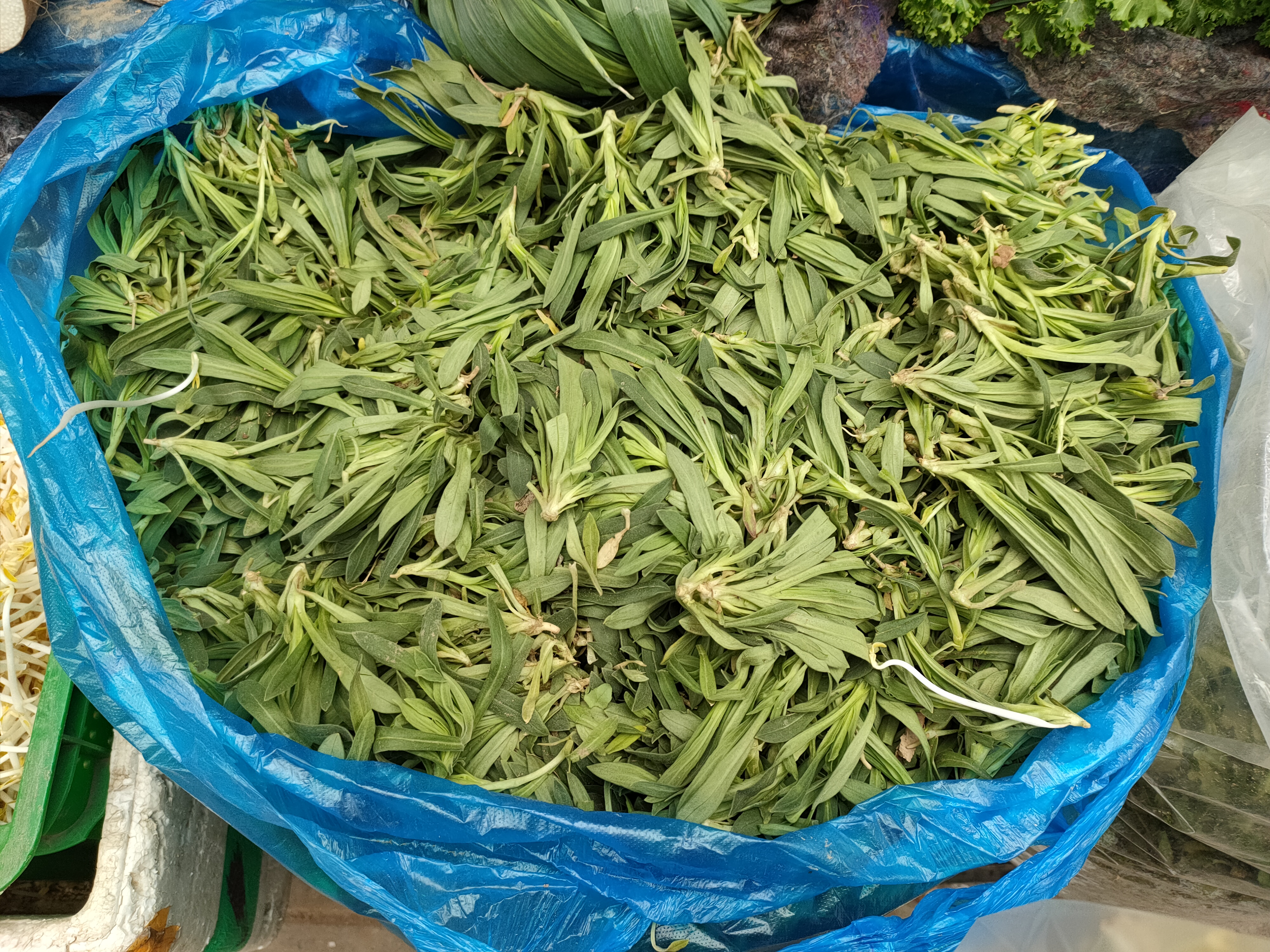 春天吃这几种野菜比吃啥补药都好,春天超嫩野菜做出来的米果香喷喷