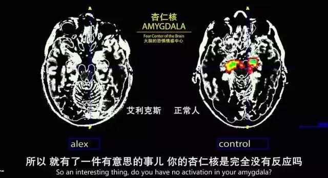 豆瓣9.0分以上的奥斯卡电影,豆瓣9.1分全程让人窒息