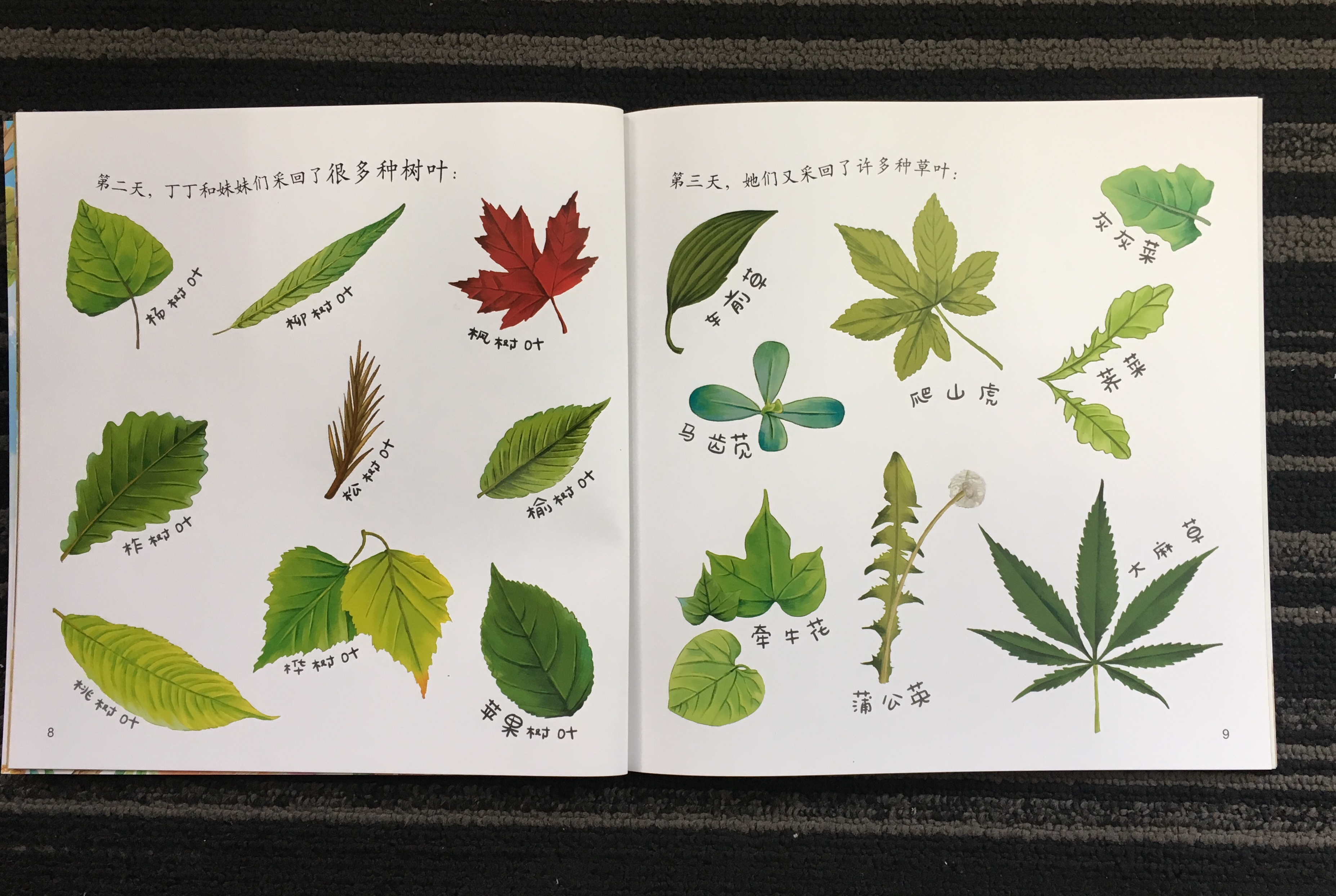 孩子觉得数学难,孩子觉得数学难的三个原因