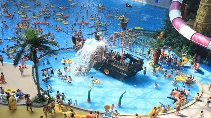 津南区打架,津南区打架视频