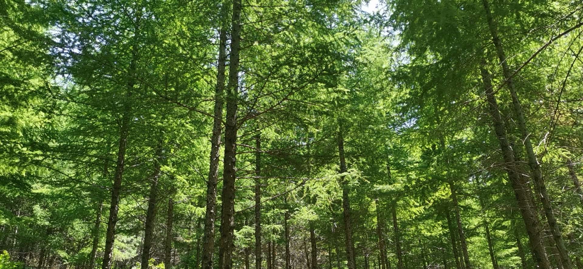 神奇的旅游城市,神奇的市区