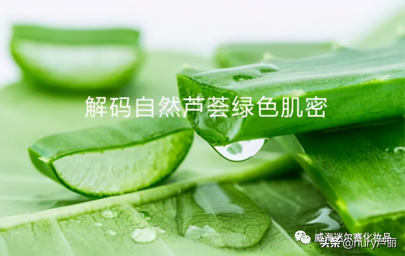 芦荟保湿凝胶抗光老化,芦荟保湿凝胶后可以涂防晒吗