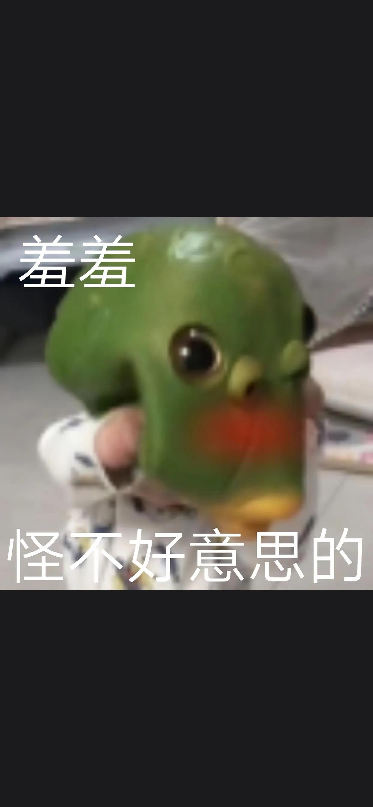 深海鱼壁纸手机壁纸,大头鱼手机壁纸高清大图