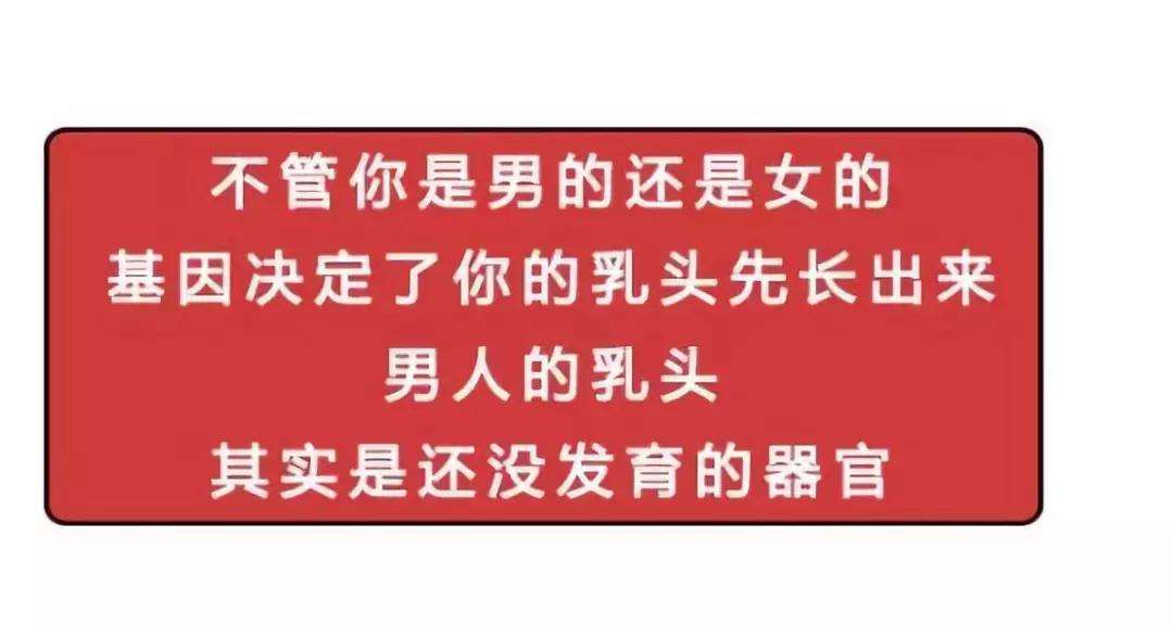男性的胸部到底有什么用？又不能喂奶！可以丰胸吗？