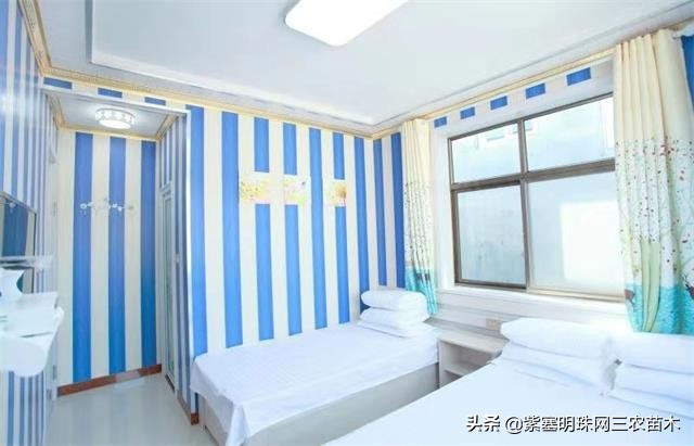 爱上一座城爱上一个人短视频,长岛大壮渔家民宿团购