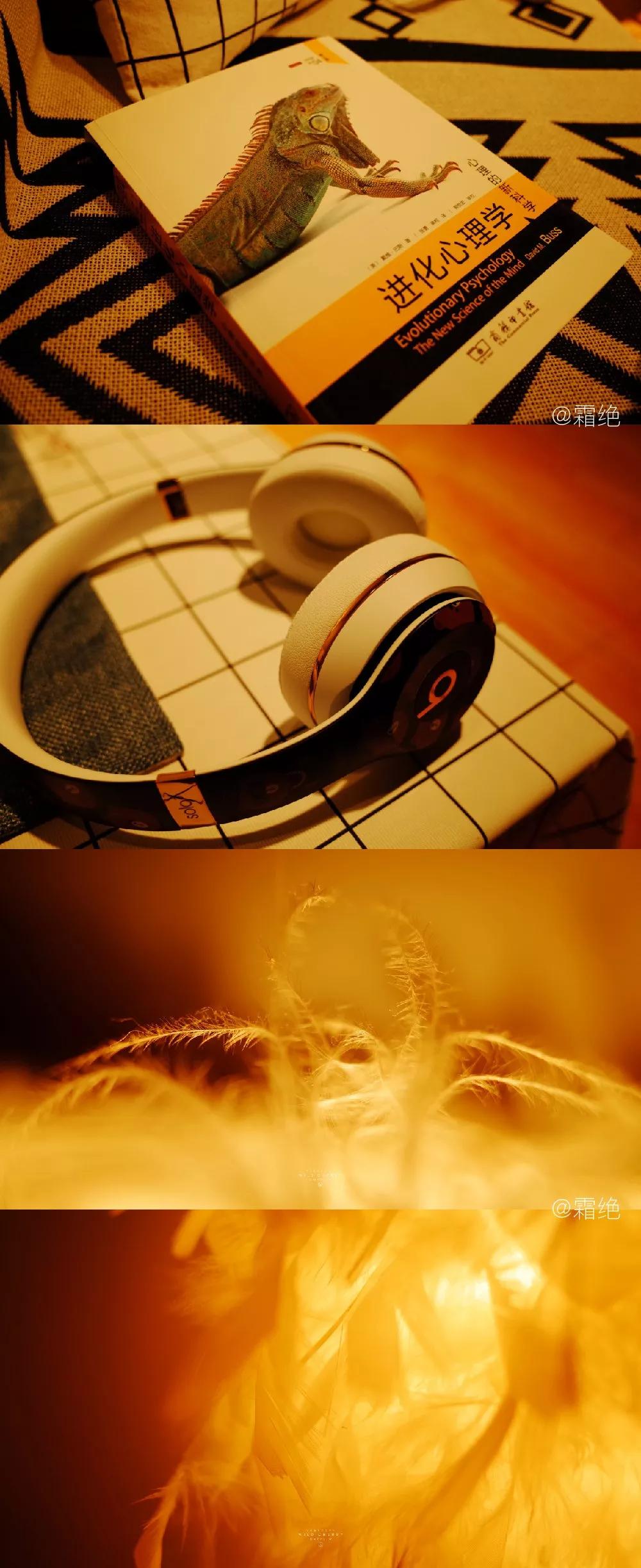 掌握摄影七大要素,掌握摄影三要素