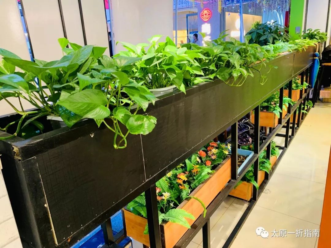 太原一折指南带你去千岛湖渔夫人！千岛湖七岁的鱼是什么样子的呢