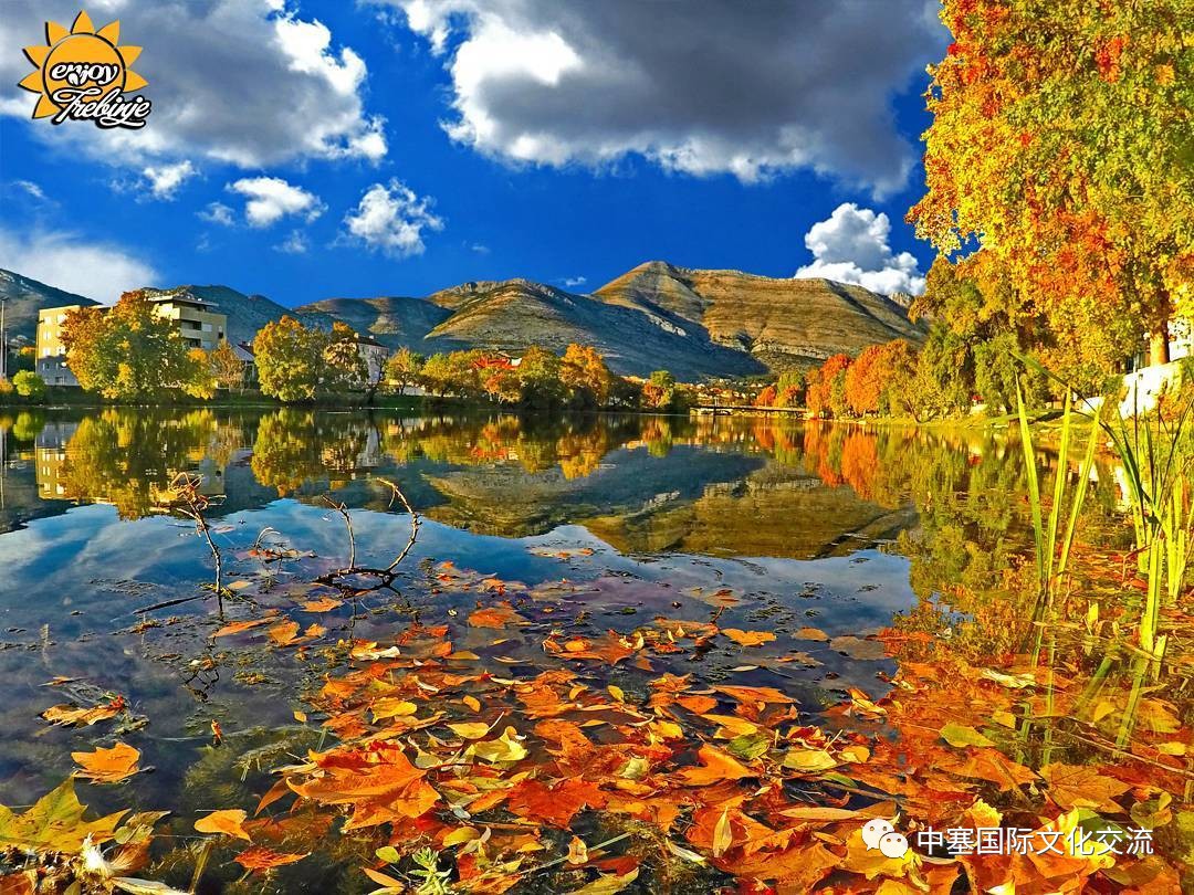 连巨星政要都亲睐的修道院葡萄酒庄你还不赶紧的｜尽在波黑福尔多