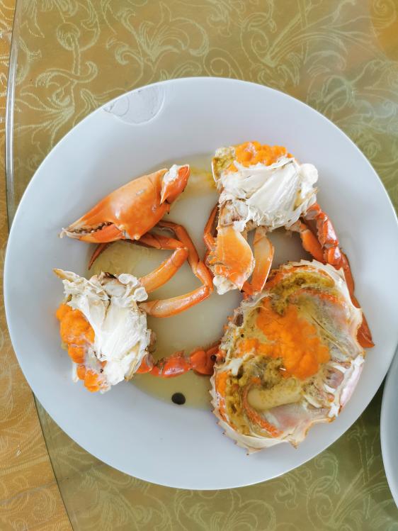 廉江龙营钓鱼视频,湛江市遂溪草潭码头钓鱼视频