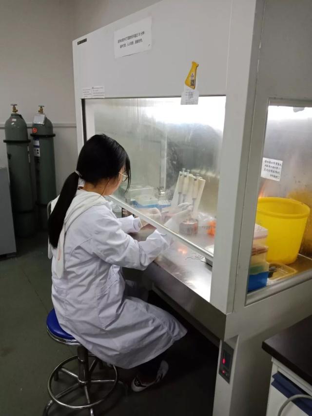 大连医科大学学霸,大连医科大学备考