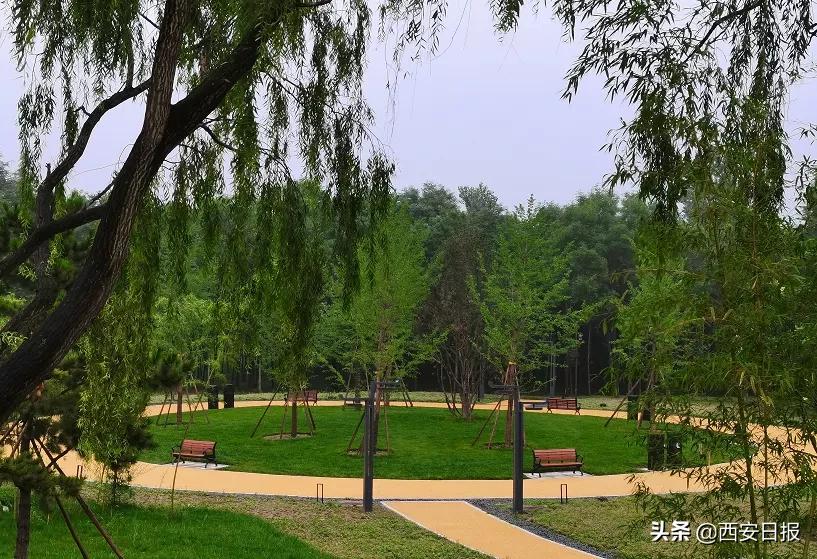 西安公园开放通知最新,西安附近公园免费景点