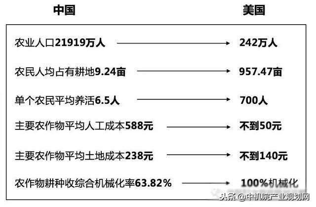 浔龙河小镇乡村振兴,浔龙河乡村振兴