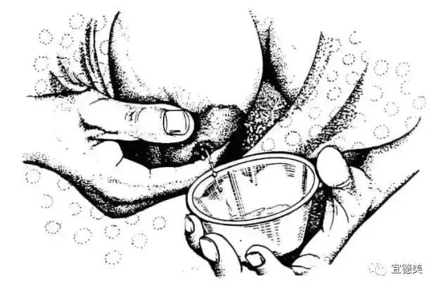 产后一个月母乳少如何回奶,产后母乳少吃什么下奶快点