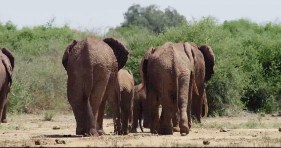 年度最佳女主角范冰冰,颜值与演技力压范冰冰