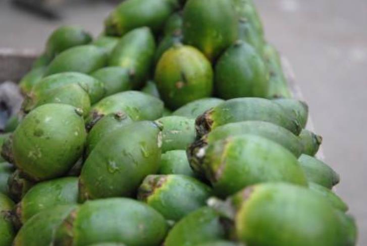 这种植物的果实害人不浅,什么植物的果实有毒又可以吃