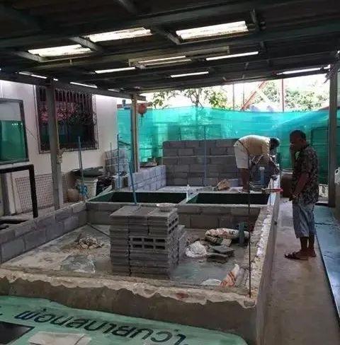 国外某熊孩子自告奋勇去擦缸把龙鱼吓脱臼了！