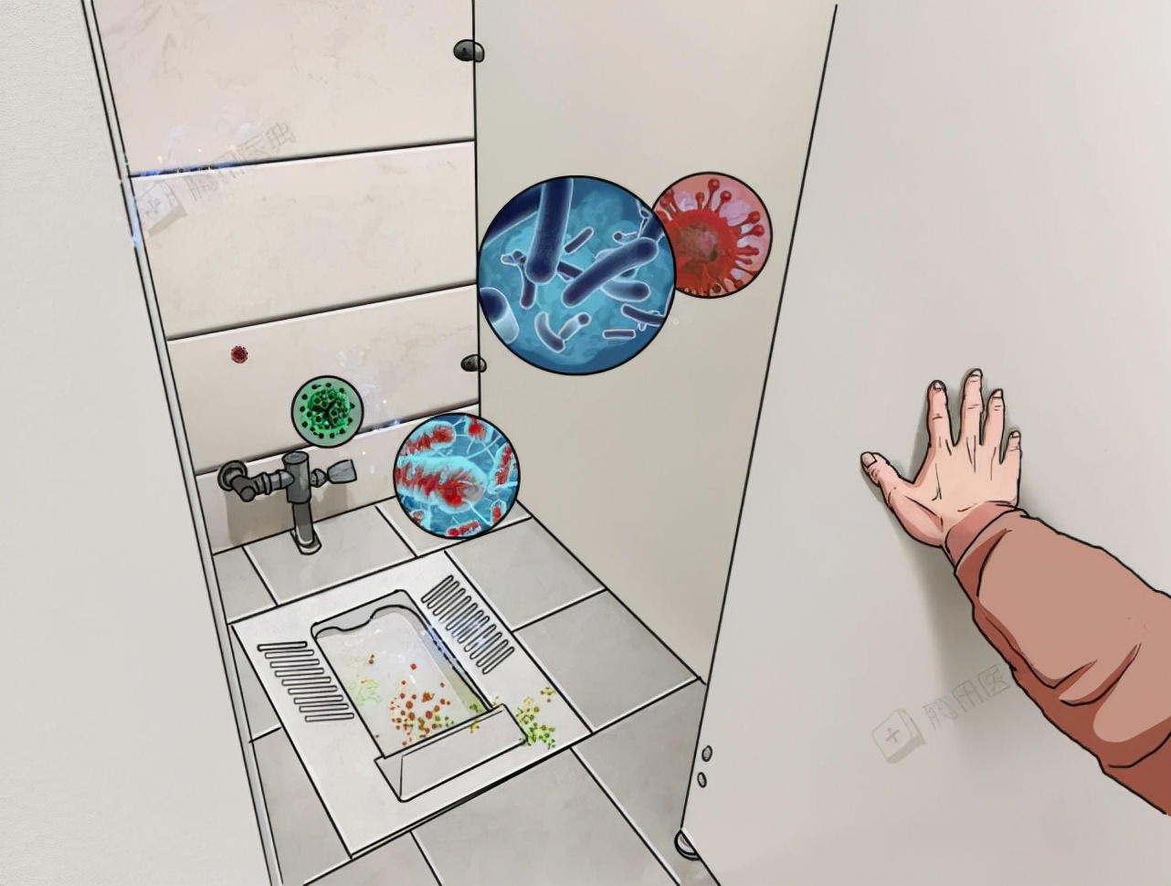 蹲便和坐便，到底谁更容易溅起细菌？