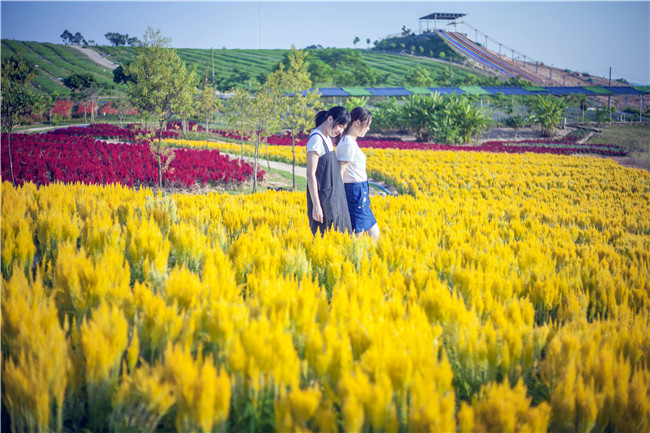 花都美林湖景区,广州花都美林湖攻略