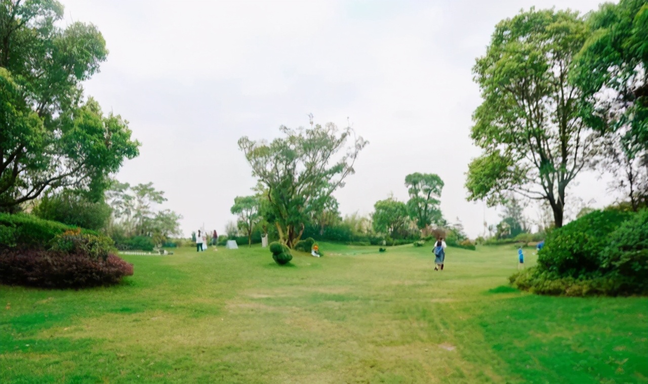 上海浦东被低估的板块,上海崇明区落后吗