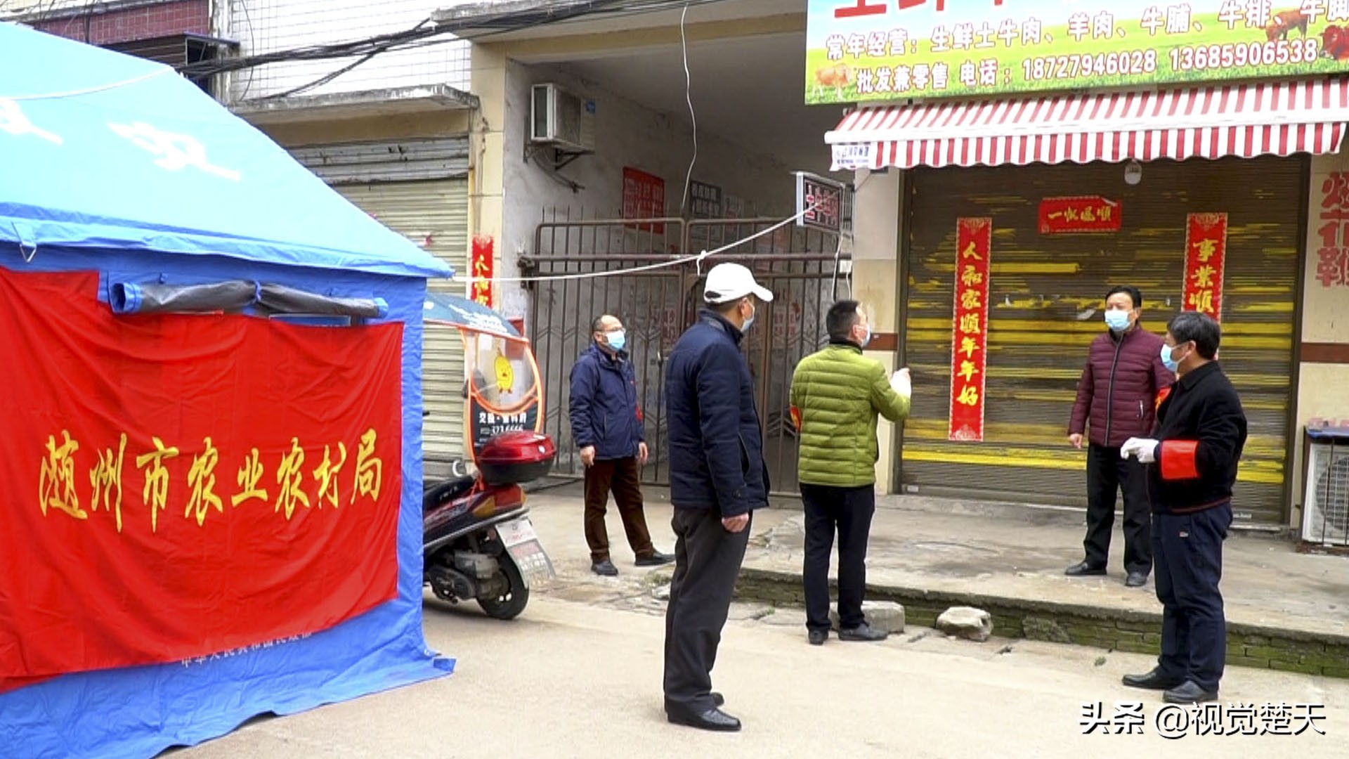 抗疫怀念战友视频,湖北随州抗疫视频