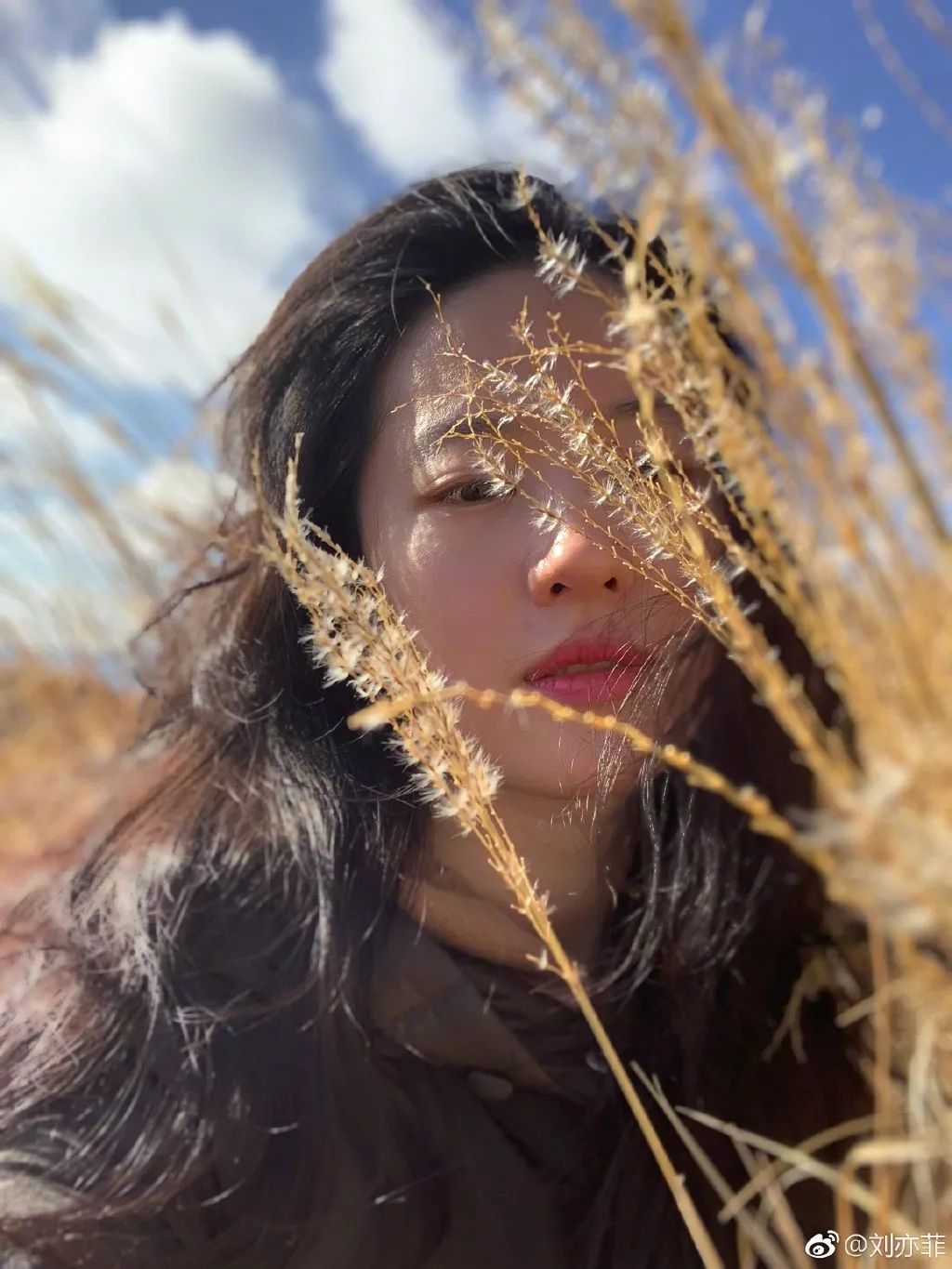 2018澶ц祻,澶ц祻2018