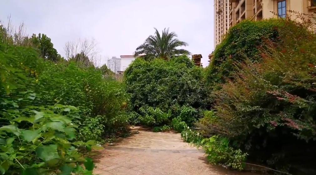 南昌房价跌得最惨的十大楼盘图表,南昌房价跌得最惨的十大楼盘排名