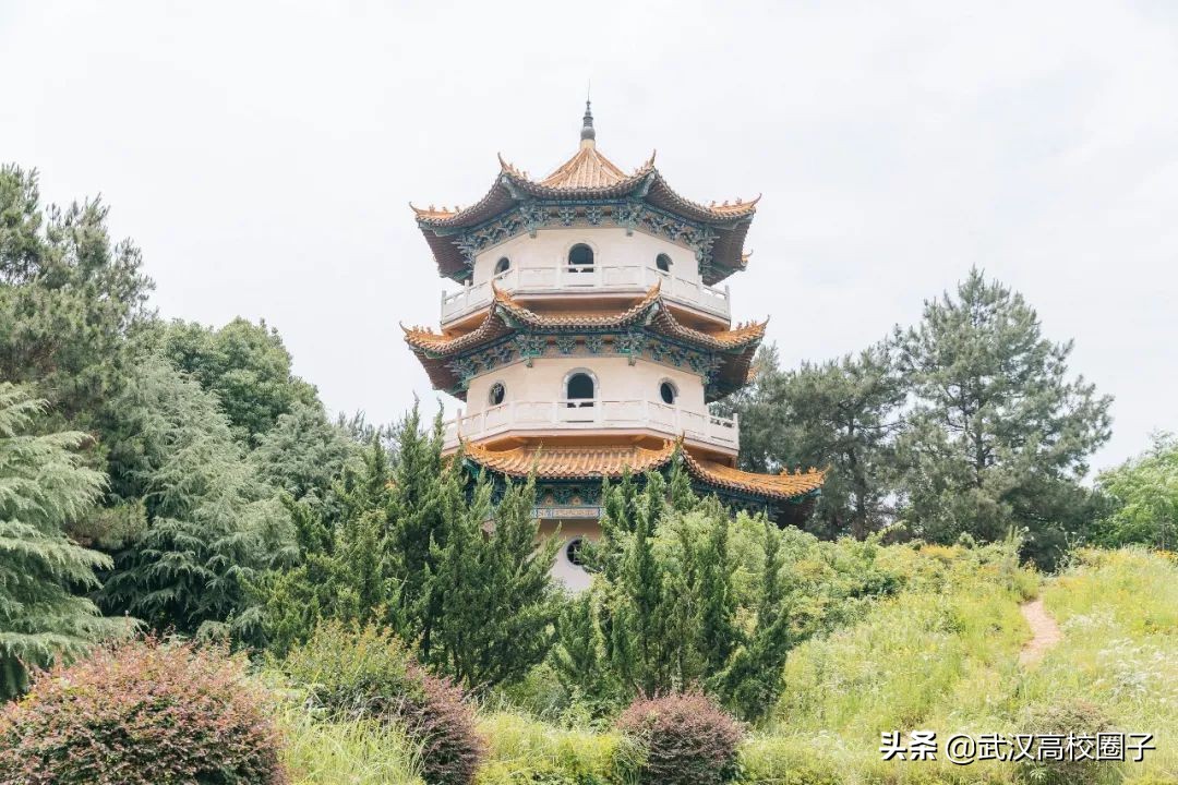 爸妈我想回家视频,爸妈我想回家了原视频