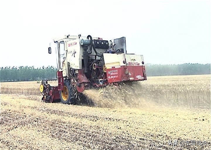 秸秆还田讲解,秸秆还田最新情况