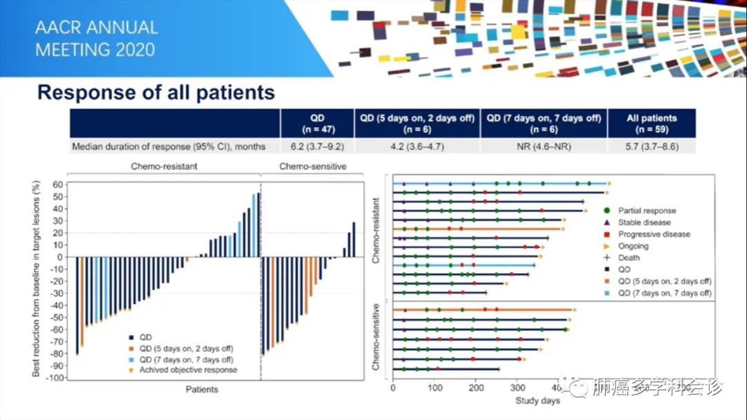 aacr肺癌高发,小细胞肺癌abc临床试验