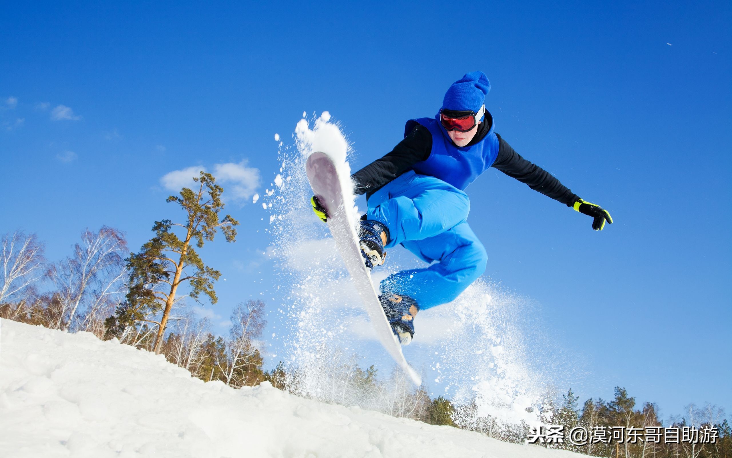 漠河极寒之旅,漠河遇到熊
