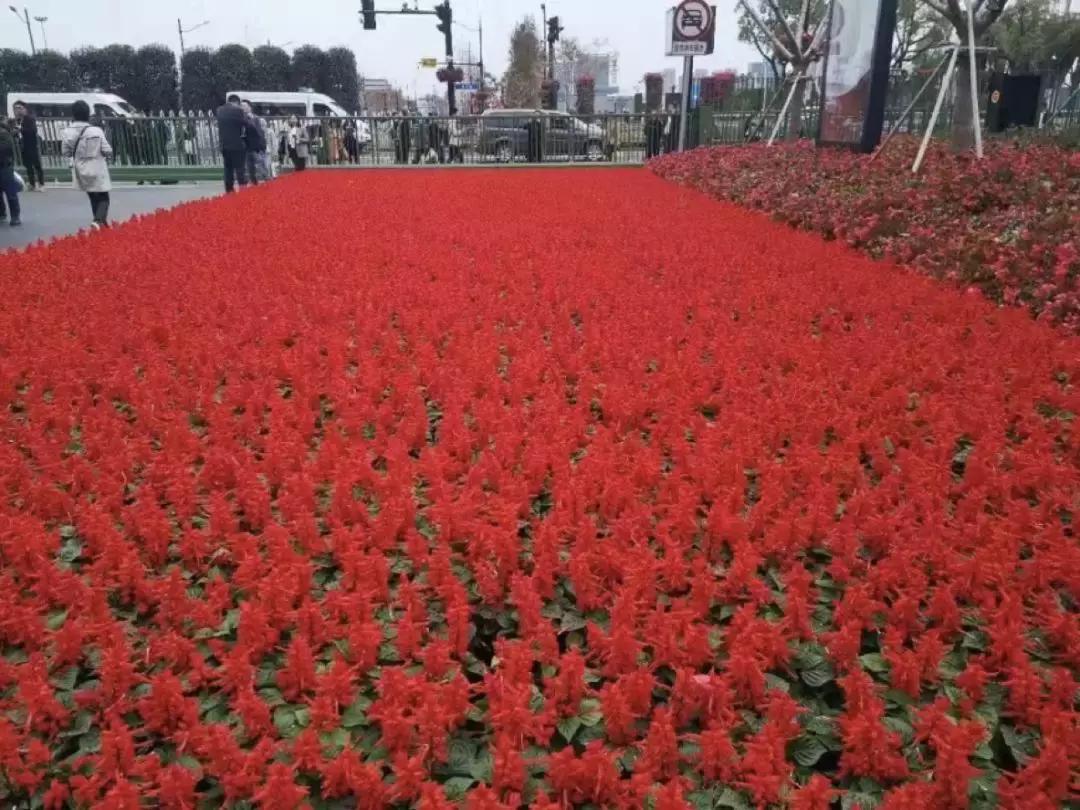 进博记忆丨最舍不得删的照片